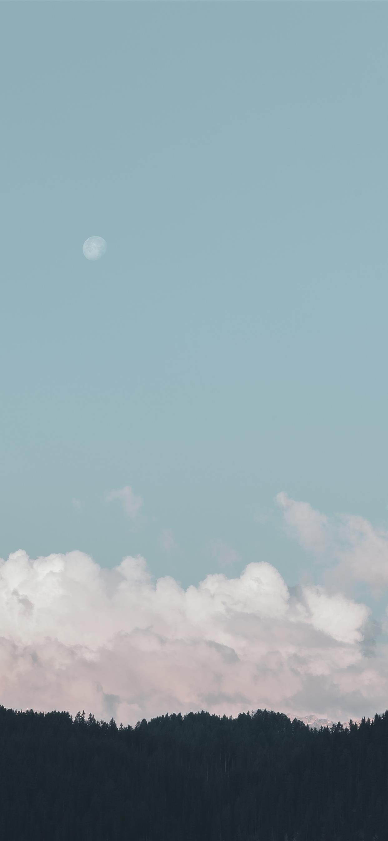 1242x2688 Pastel Teal Wallpaper iPhone