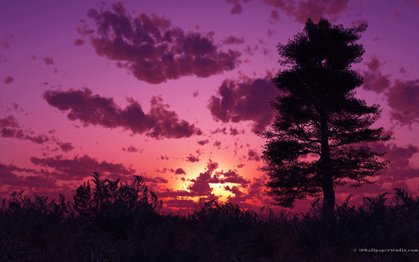 1440x900 Free download Widescreen Purple Sunset Wallpaper Desktop Nature Pics Wallpaper [1440x900] for your Desktop, Mobile & Tablet. Explore Sunset Wallpaper for Desktop Widescreen. Beach Sunset Wallpaper, HD Beach Sunset
