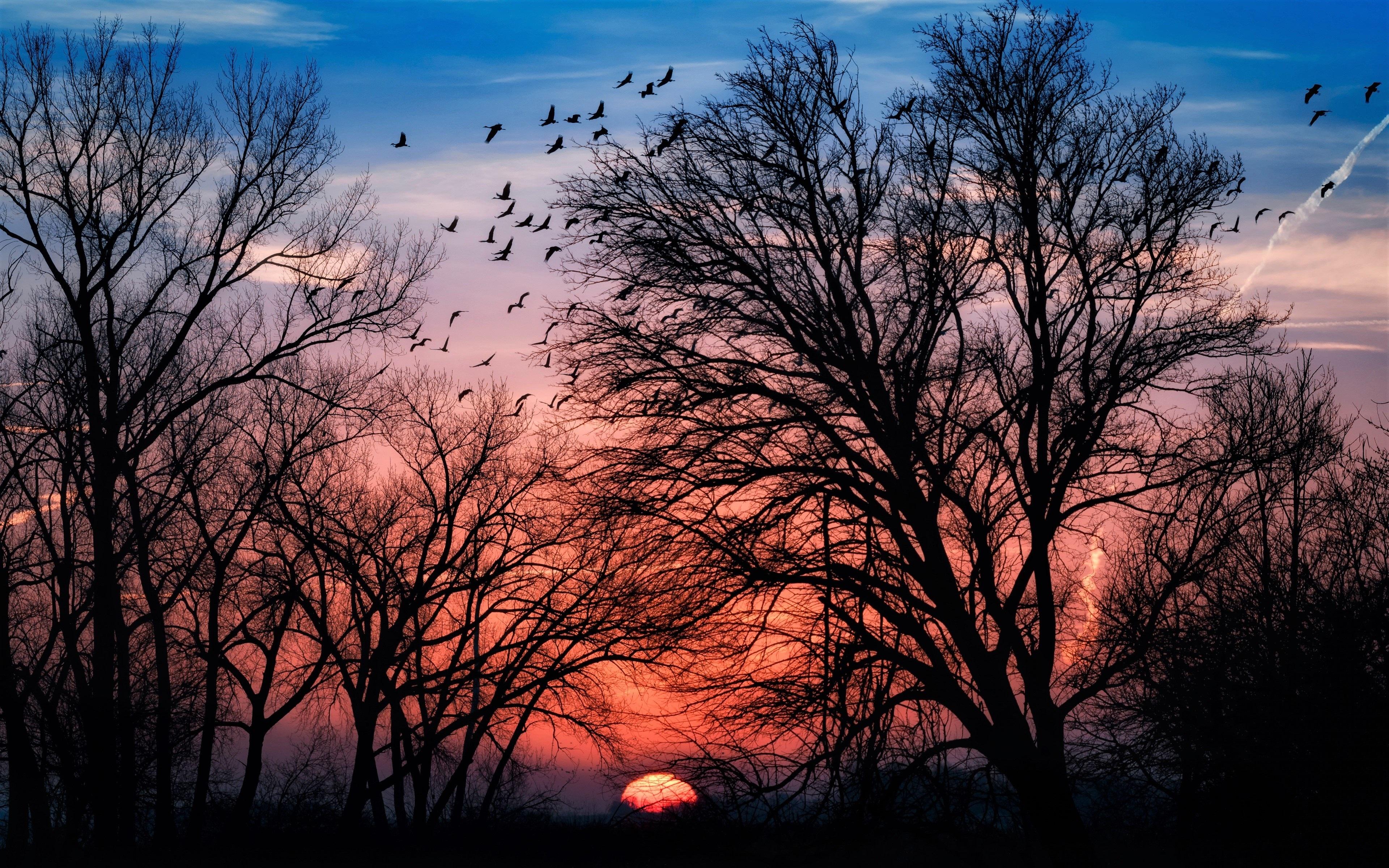3840x2400 Hd Sunset Aesthetic Wallpaper