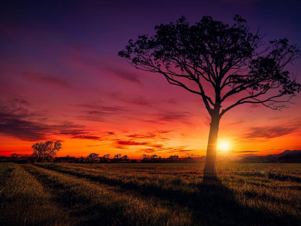 1024x768 Sunset 4K wallpaper for your desktop or mobile screen free and easy to download