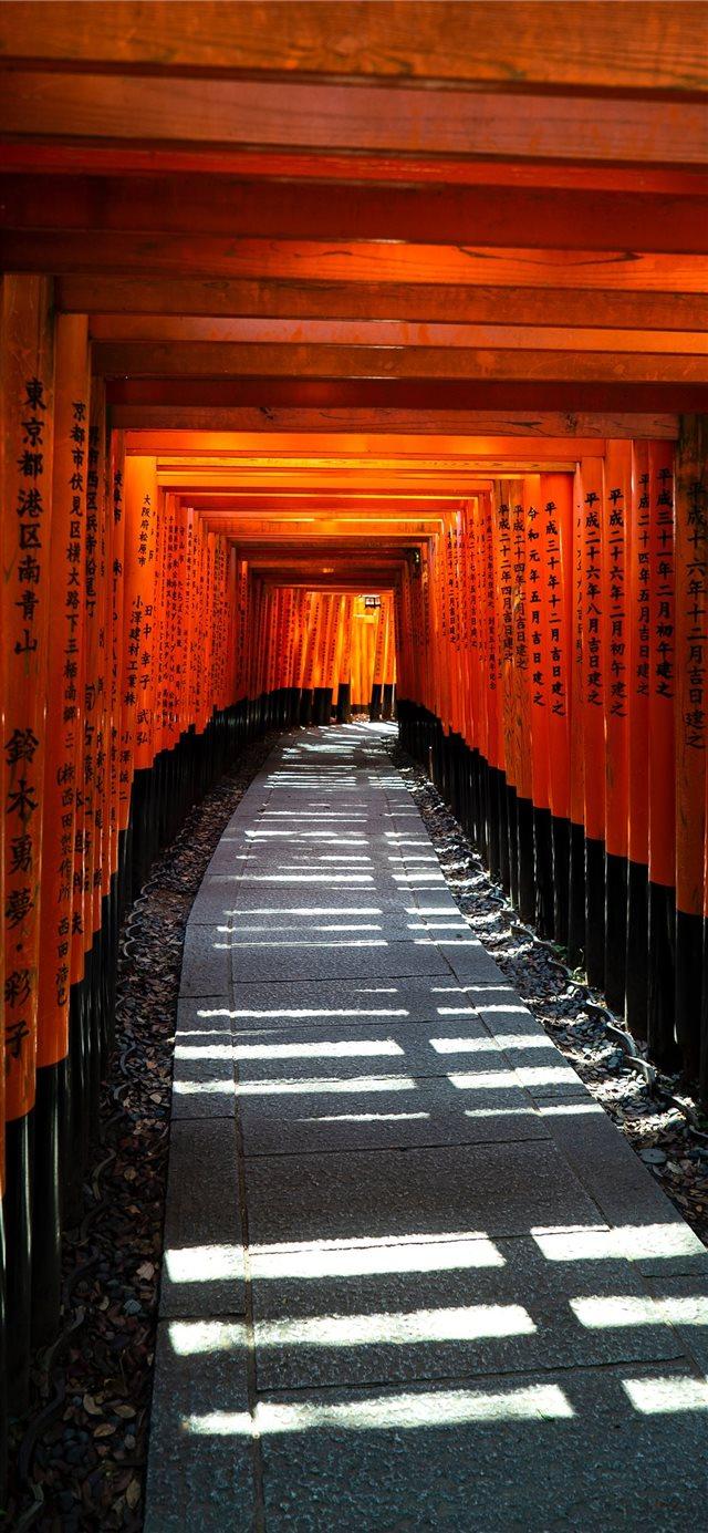 640x1385 Fusihimi Inari Kyoto Japan iPhone X Wallpaper Free Download