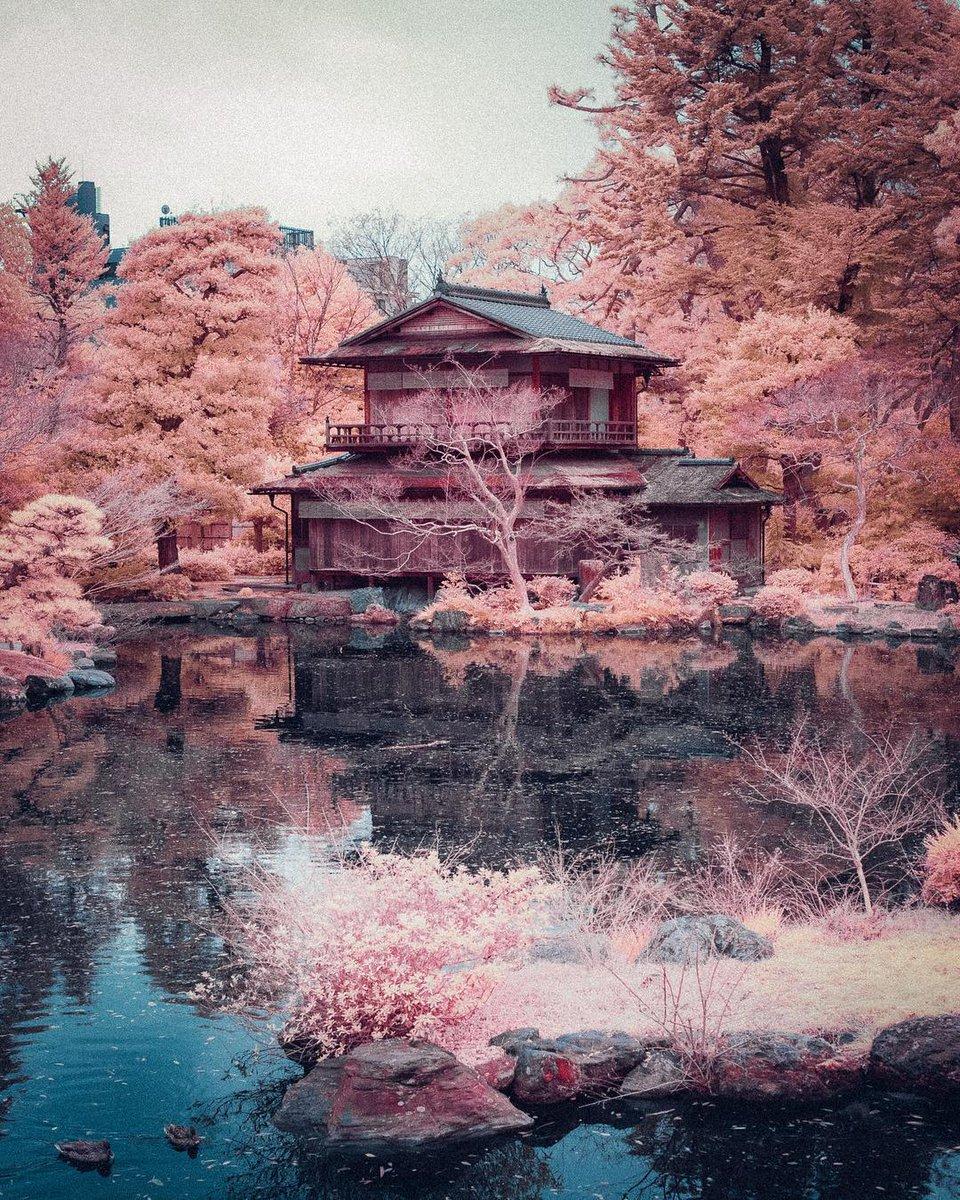 960x1200 Owsla Kyoto