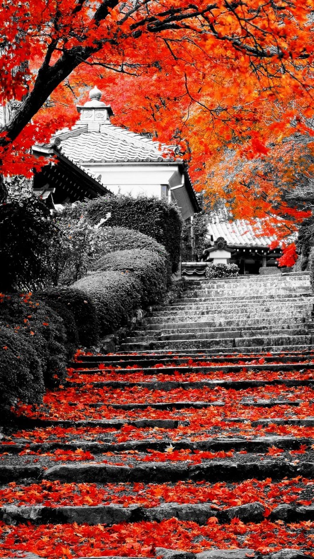 Kyoto Iphone Wallpapers Top Free Kyoto Iphone Backgrounds