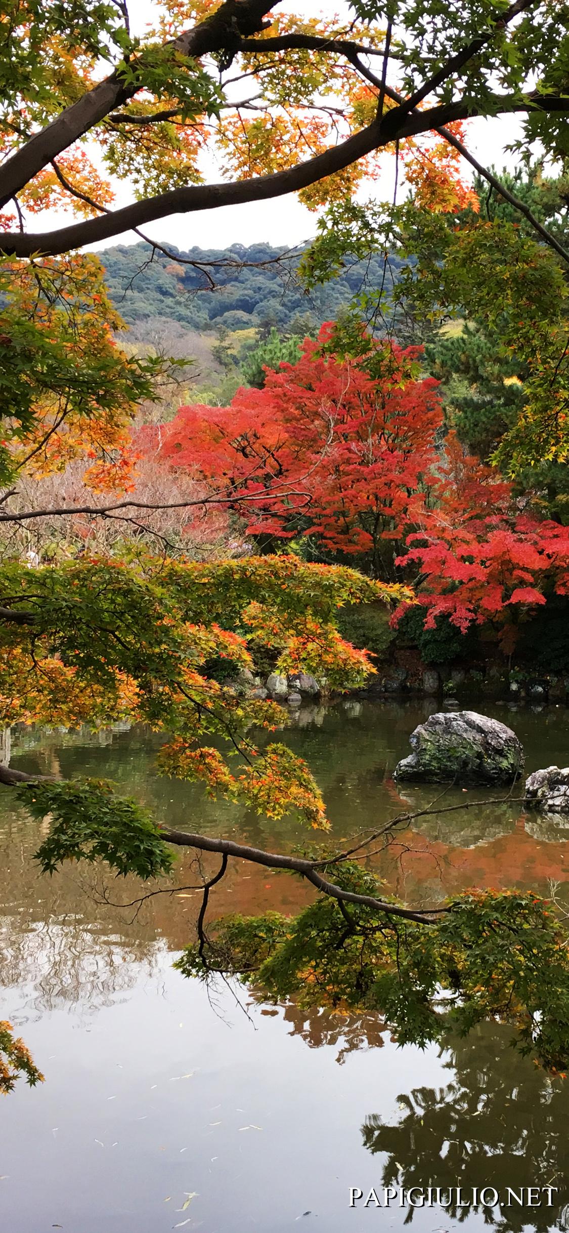 Kyoto Iphone Wallpapers - Top Free Kyoto Iphone Backgrounds ...