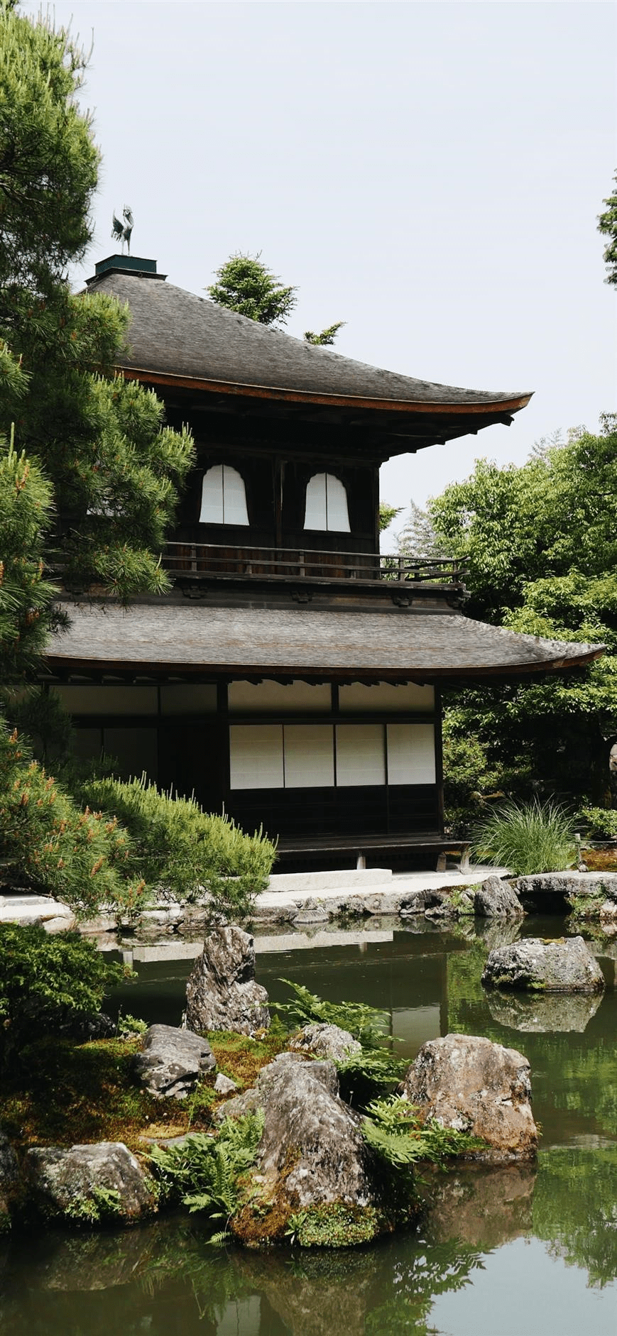 869x1882 IPhone Wallpaper Architecture Temple Kyoto Wallpaper Art: Free HD Download