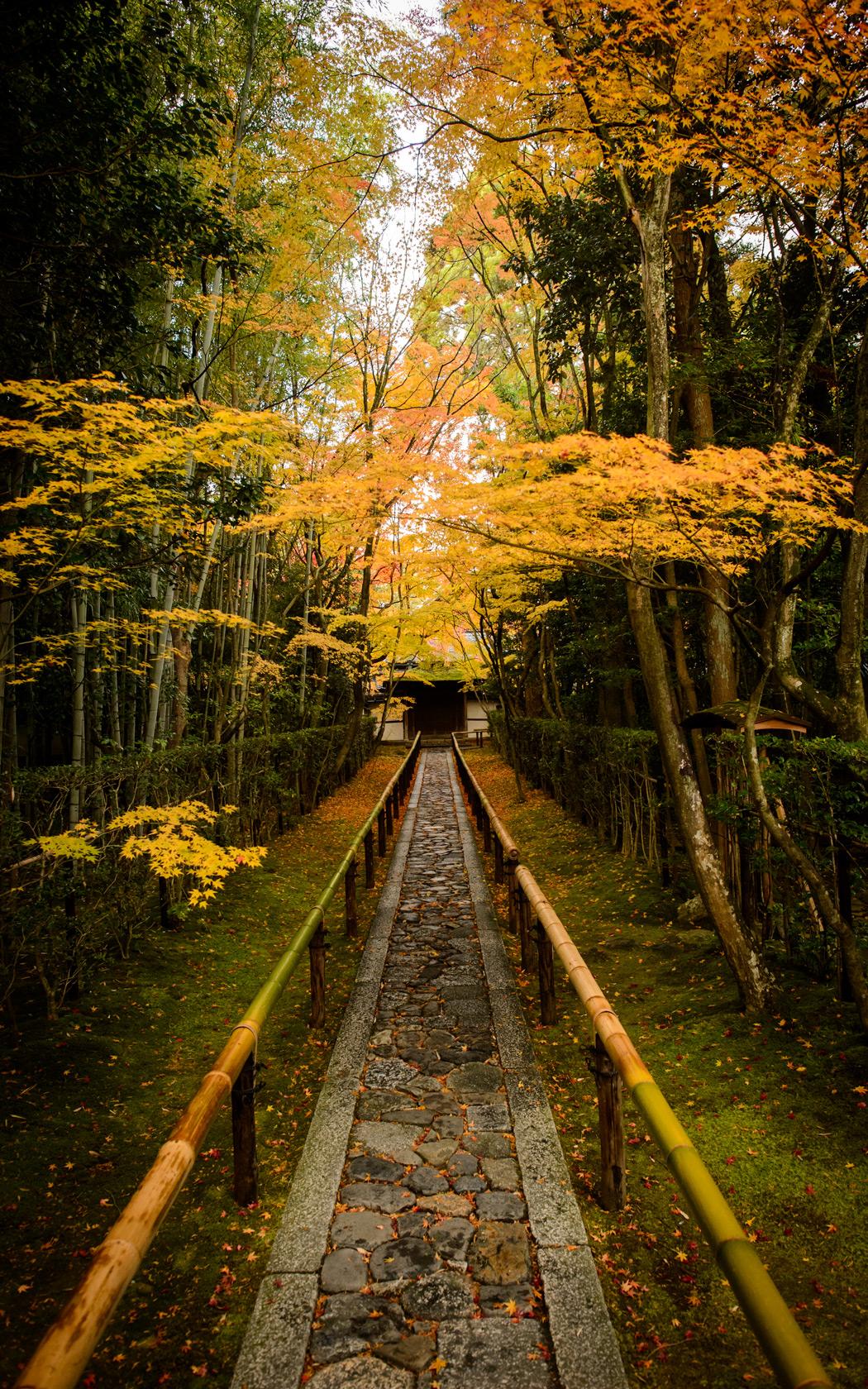 1050x1680 Jeffrey Friedl's Blog That Amazing Entrance Path of Kyoto