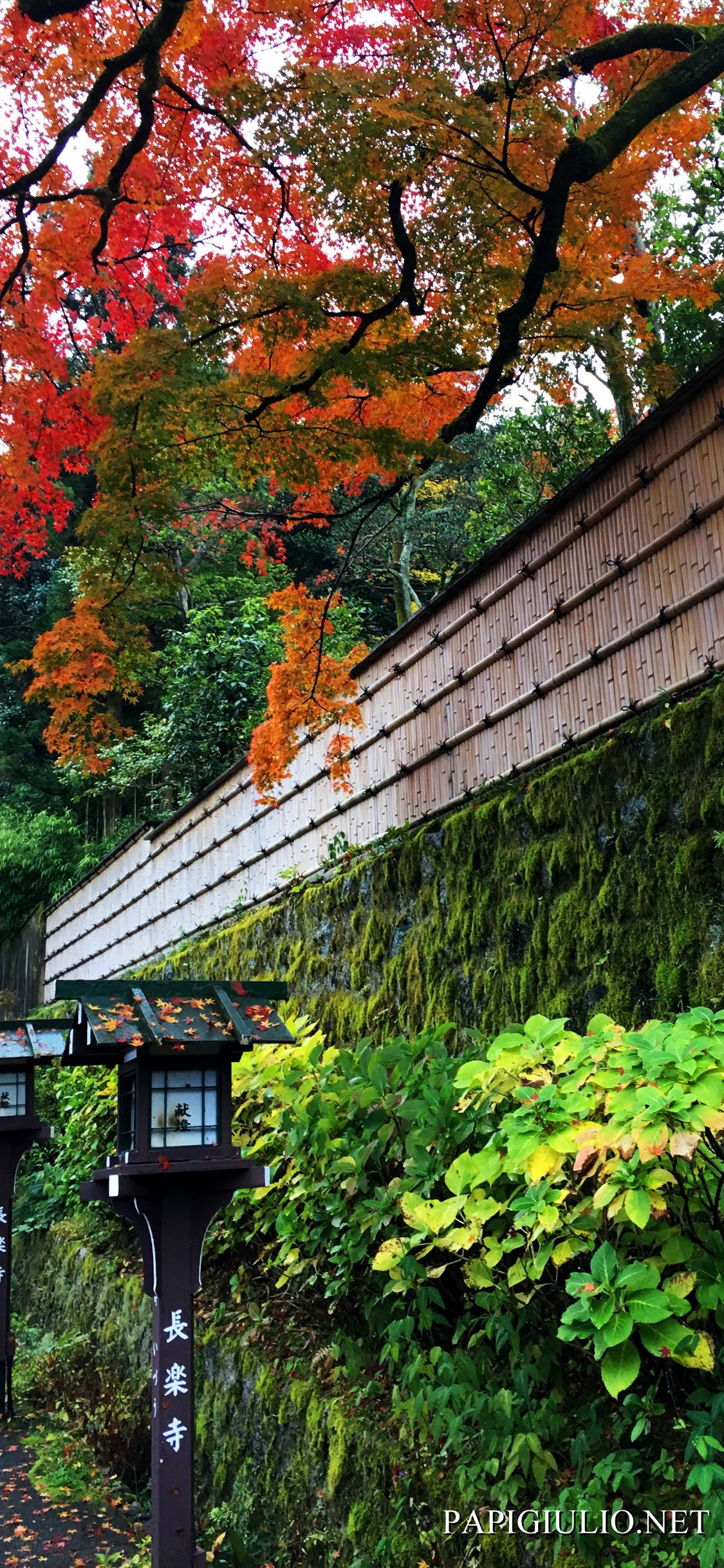 1125x2436 Free Japanese iPhone wallpaper download Kyoto Japan
