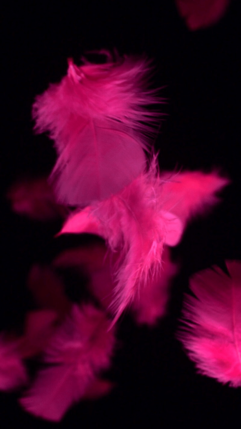 Oppo F17 Wallpapers Top Free Oppo F17 Backgrounds WallpaperAccess