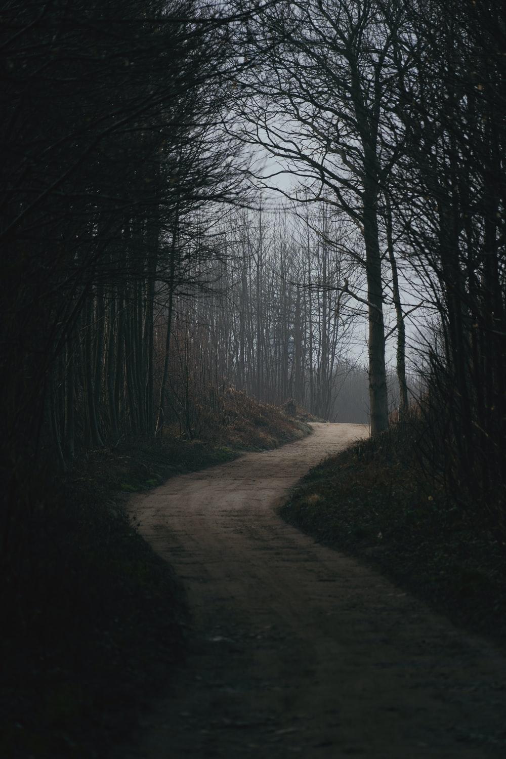 Dark Scary Road