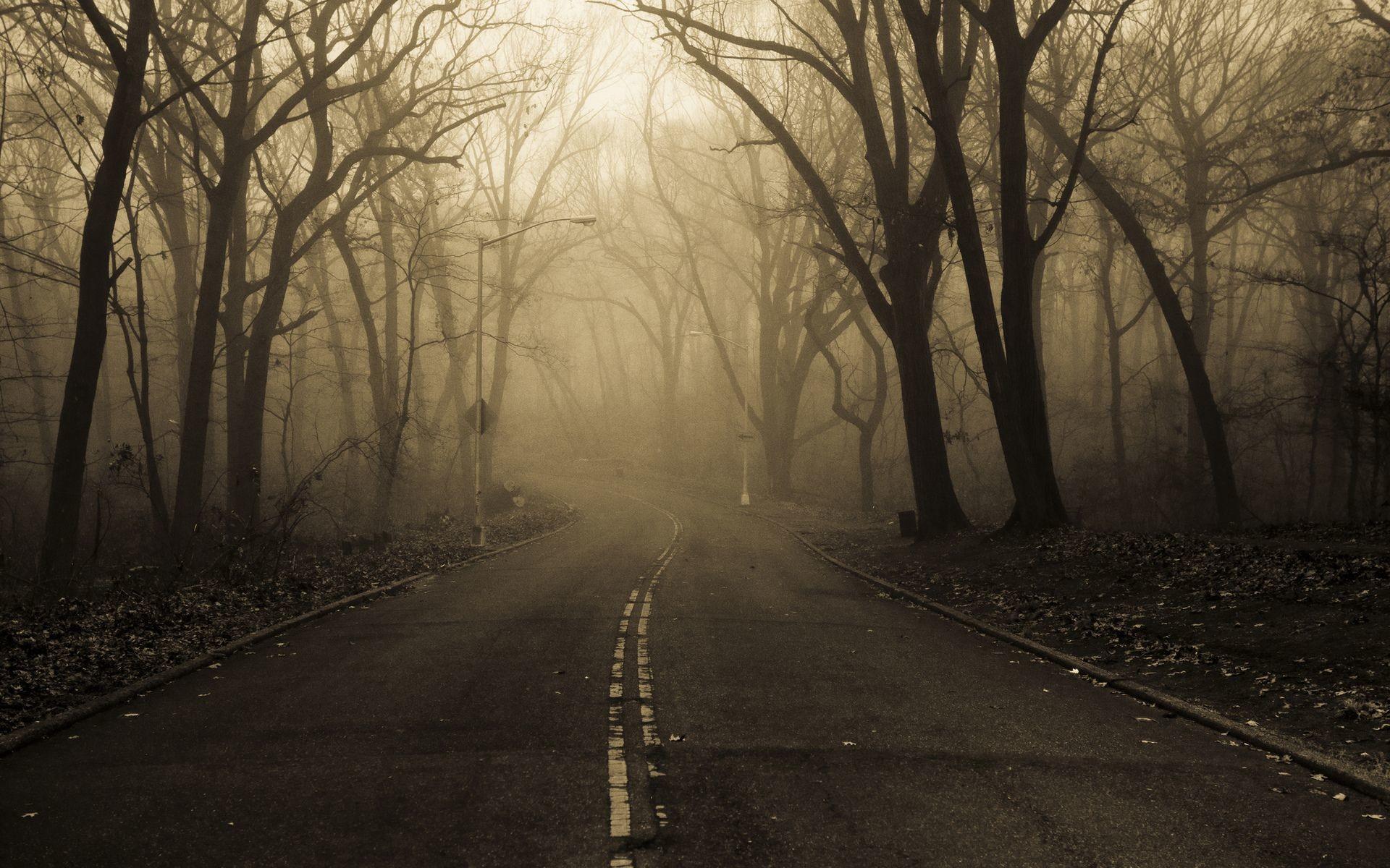 1920x1200 Spooky Forest