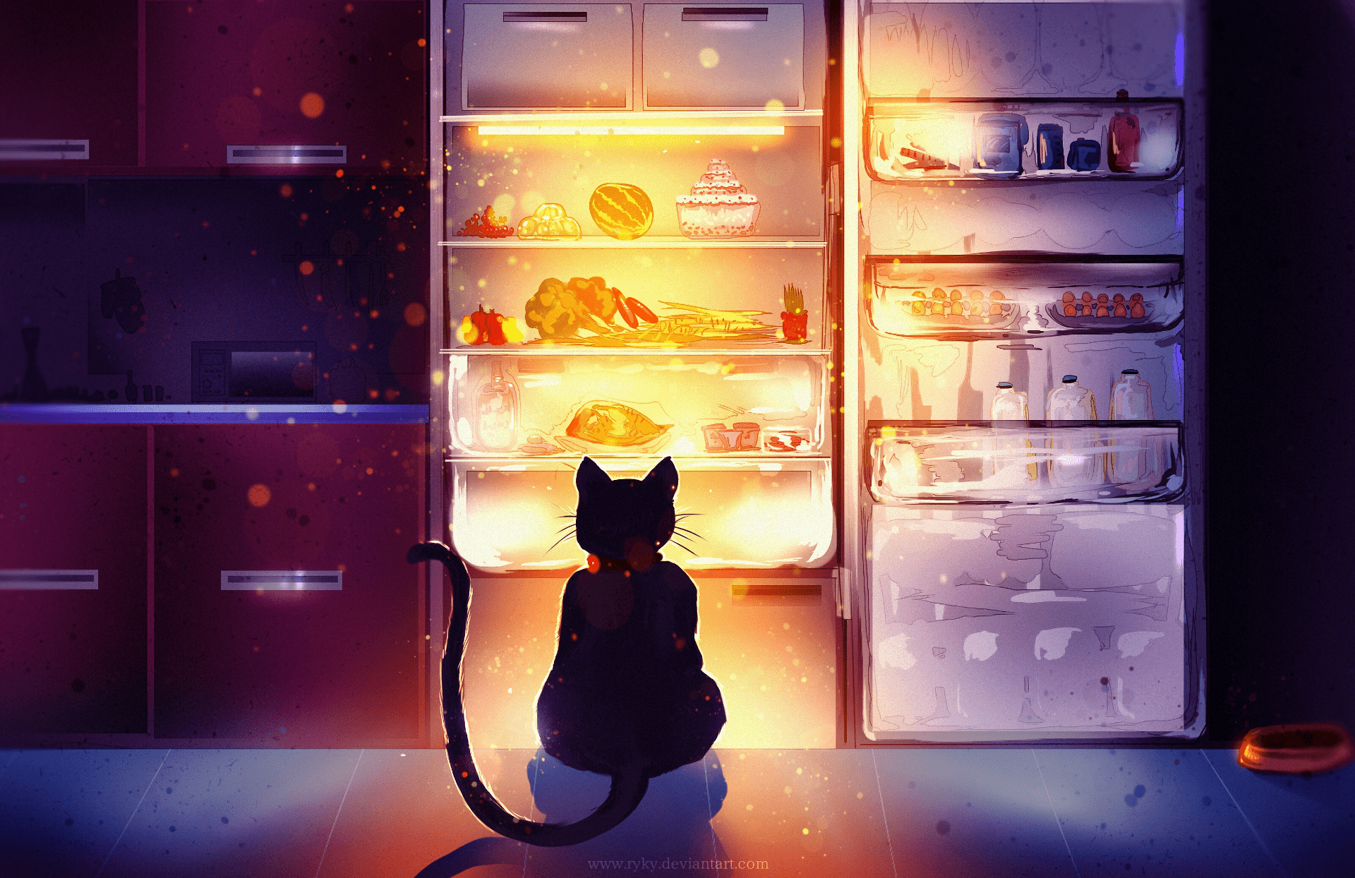 1920x1244 Decisions, decisions.. HD Wallpaper. Background Imagex1244