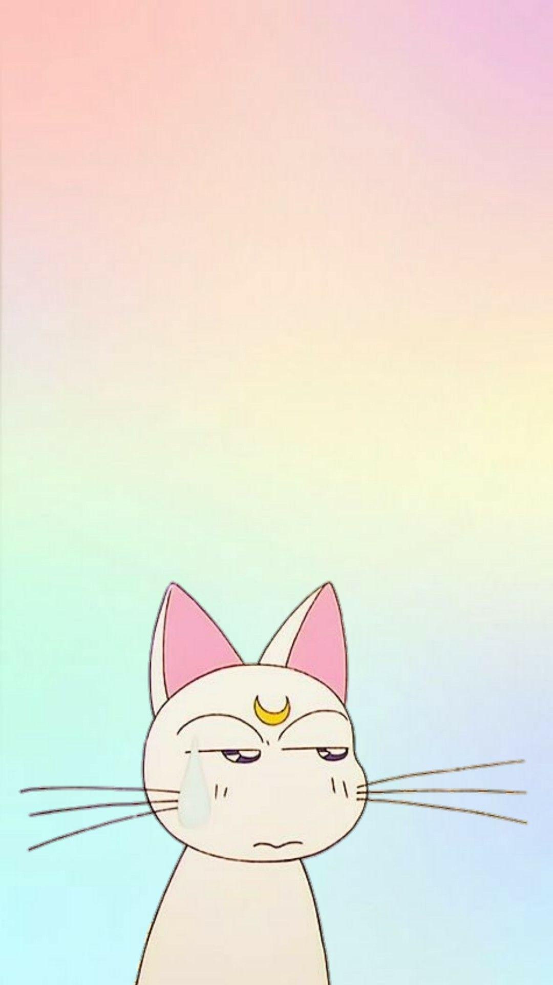 1080x1921 Anime Aesthetic Cat Wallpaper