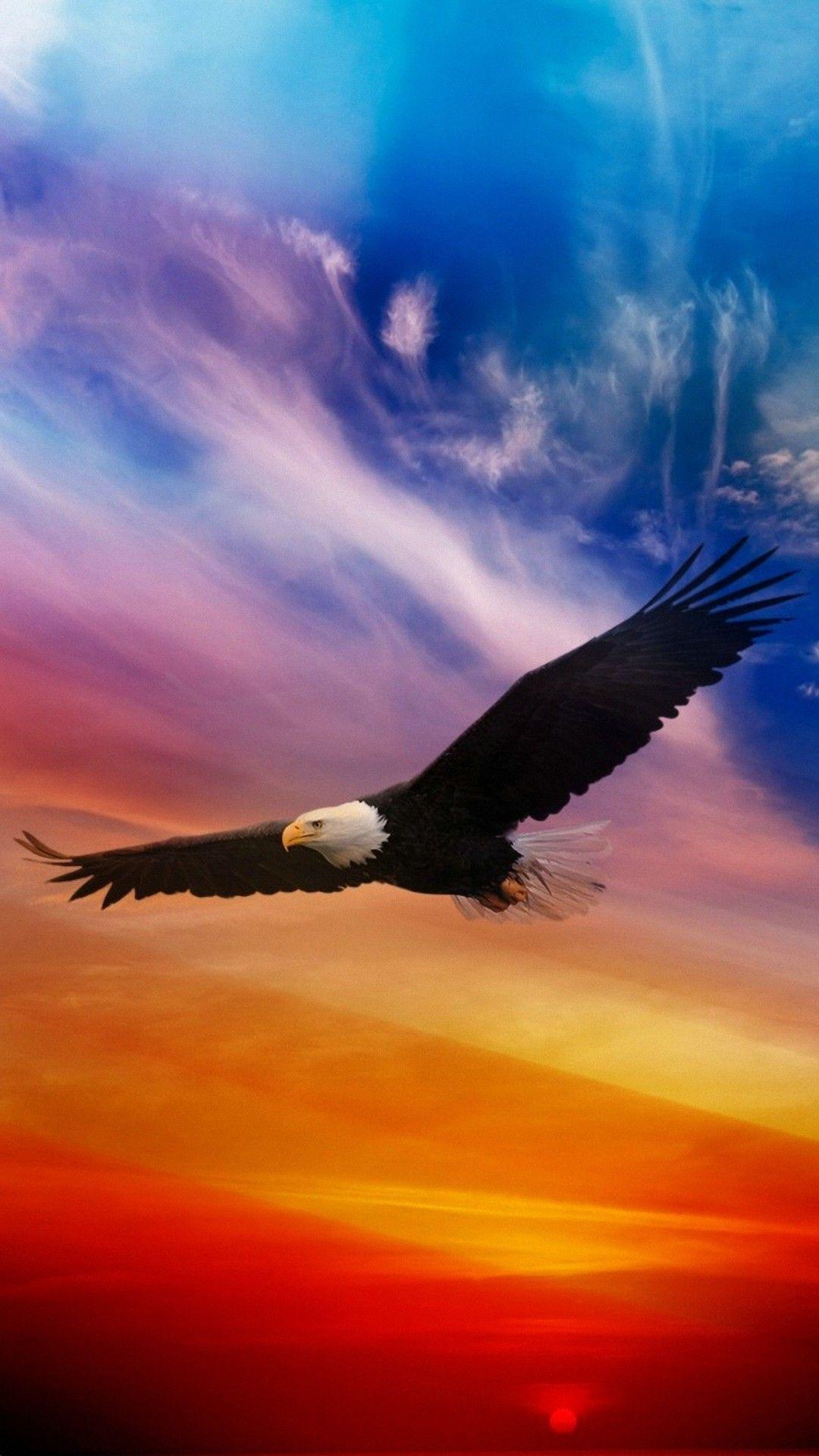 1080x1920 Bald Eagle Sunset Wallpaper