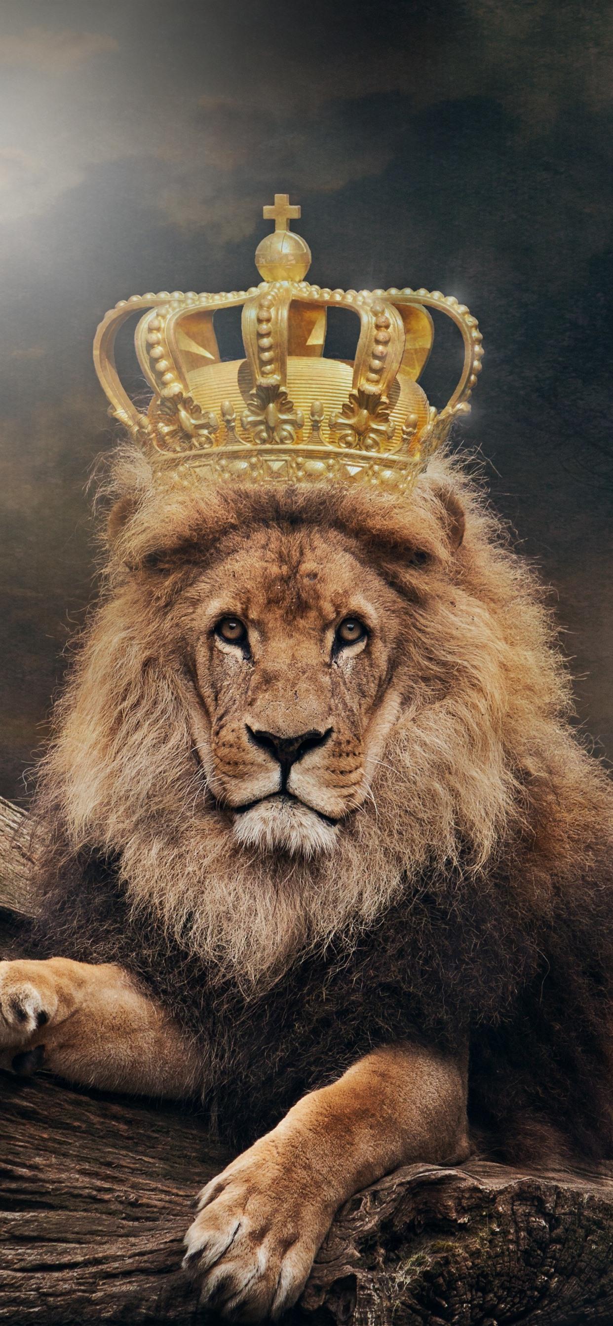 King Crown Iphone Wallpapers Top Free King Crown Iphone Backgrounds Wallpaperaccess