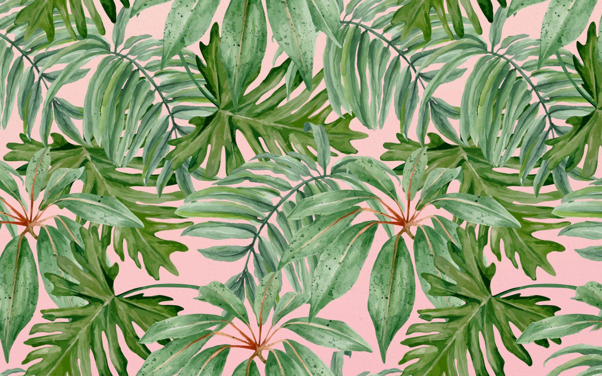 Aesthetic Leaves Wallpaper Pink - Find the large collection of 33000