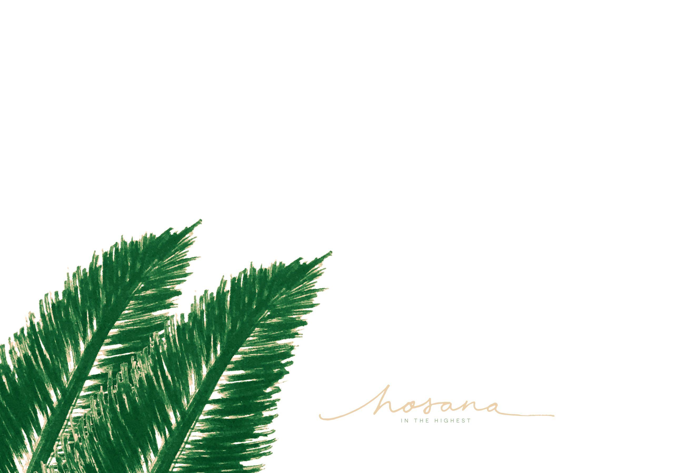 2580x1800 Green day: April 2019