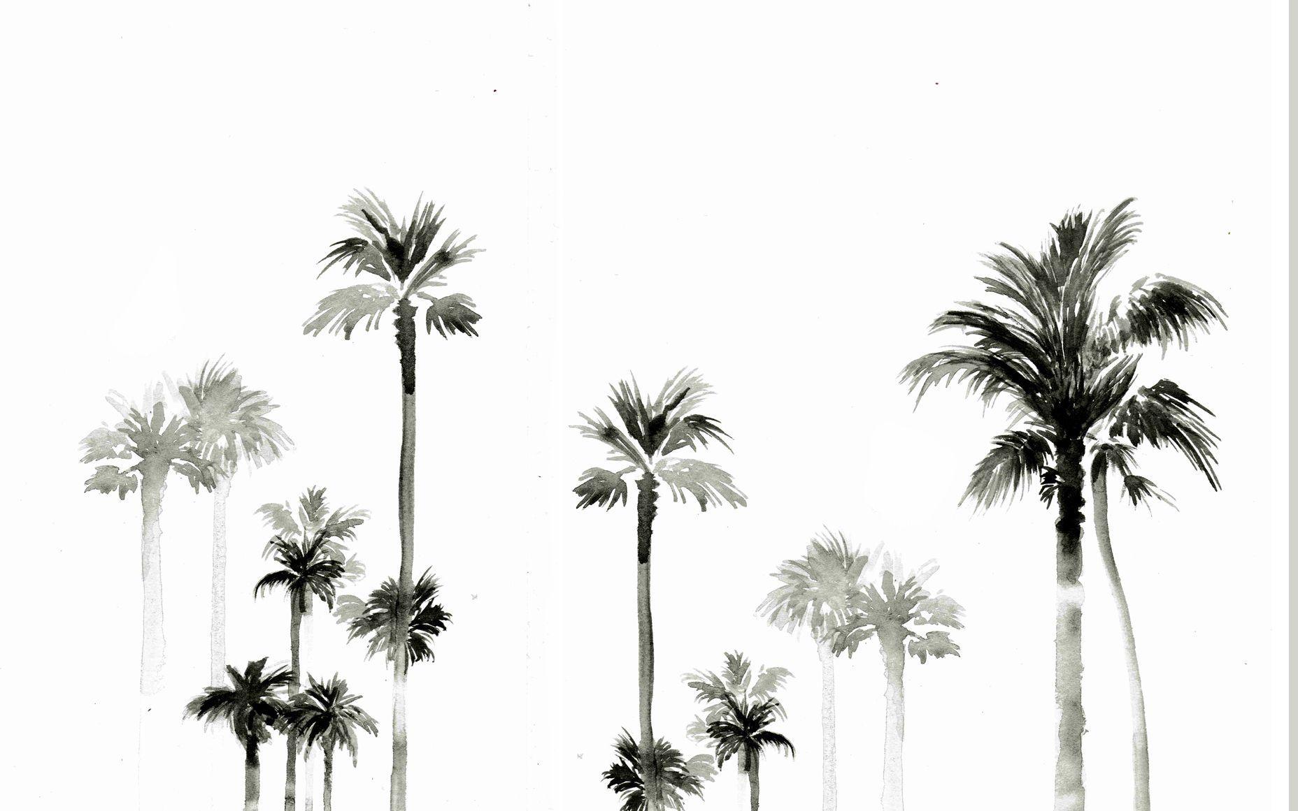 palm tree desktop wallpaper