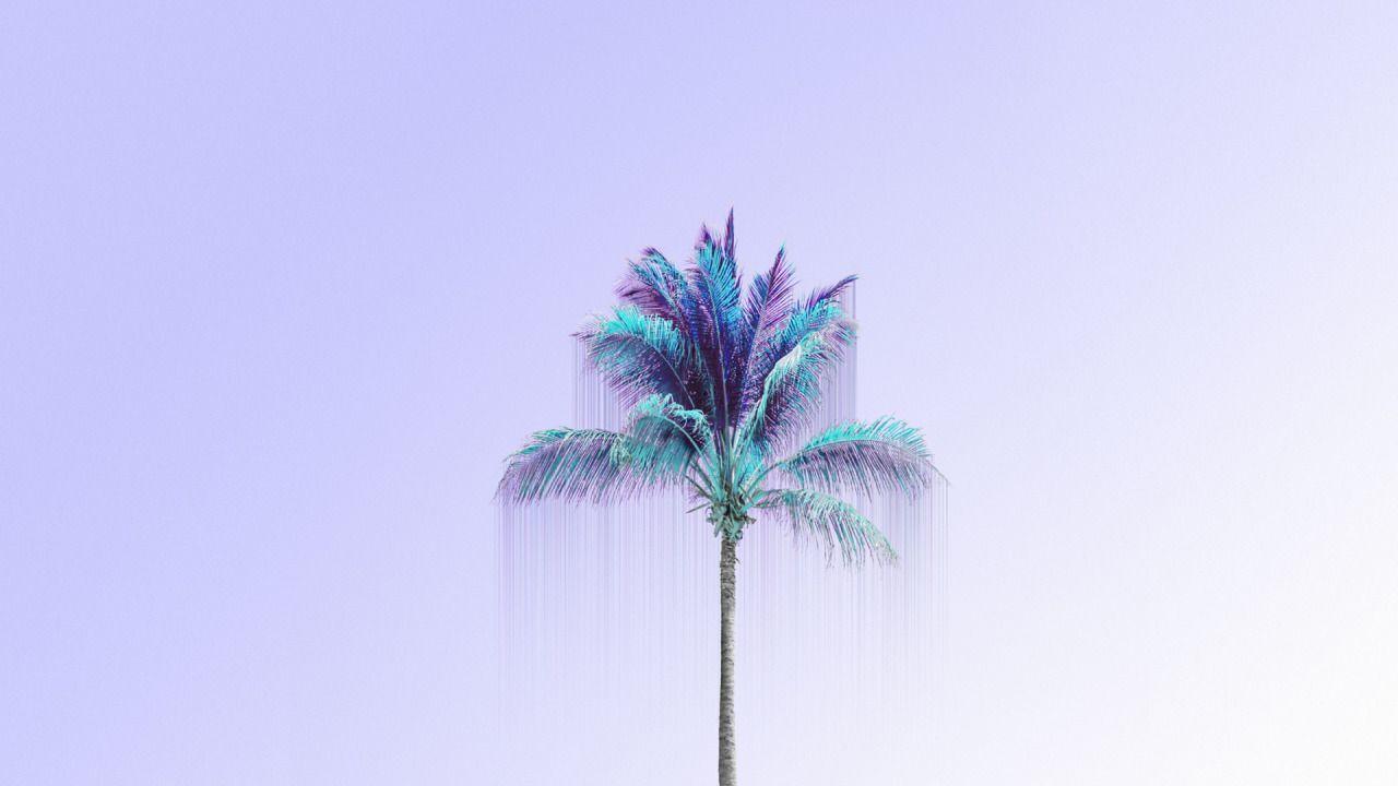 1280x720 Lavender lilac blue palm tree desktop wallpaper background