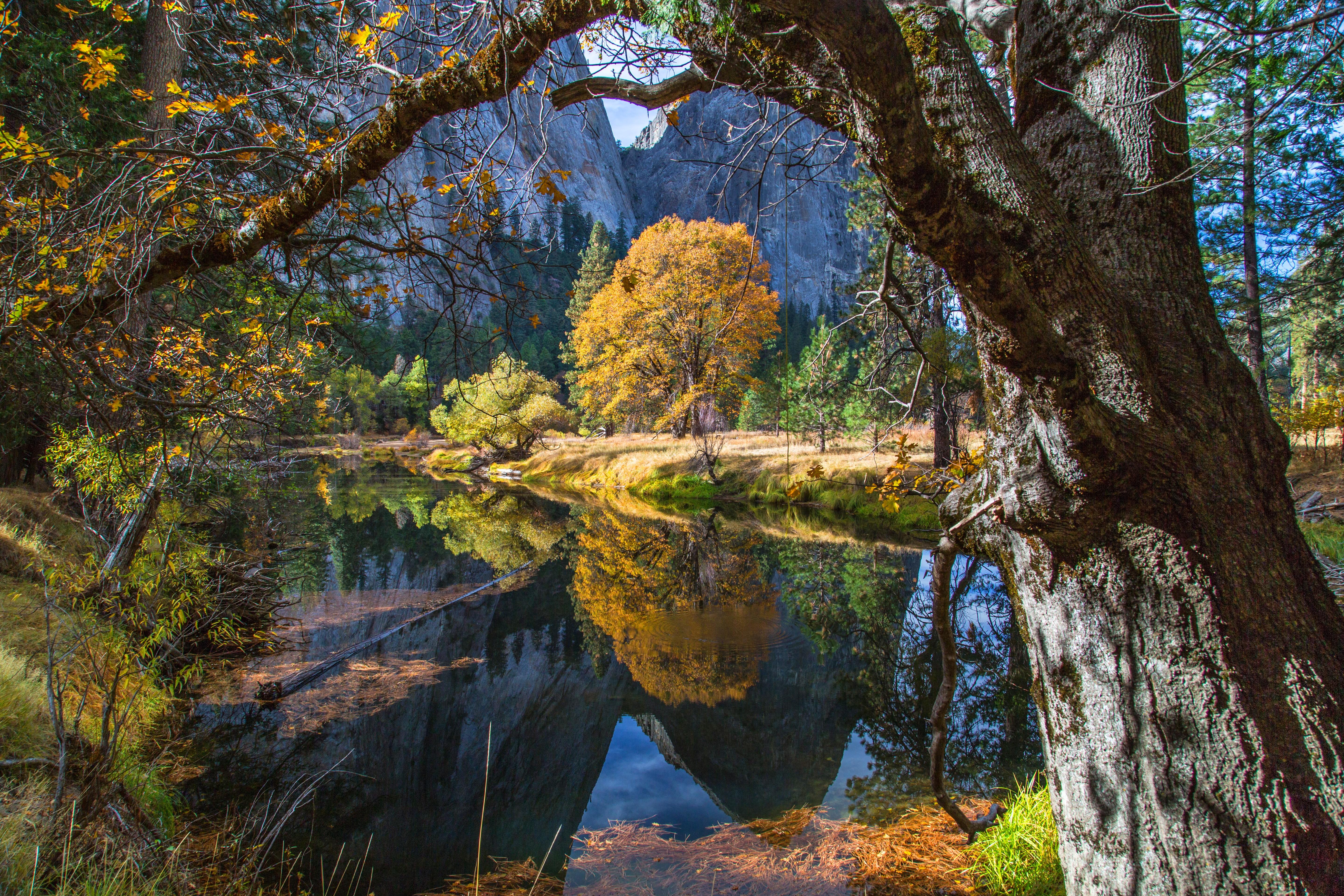 5760x3840 Free Apple Yosemite Wallpaper, Apple Yosemite Wallpaper Download