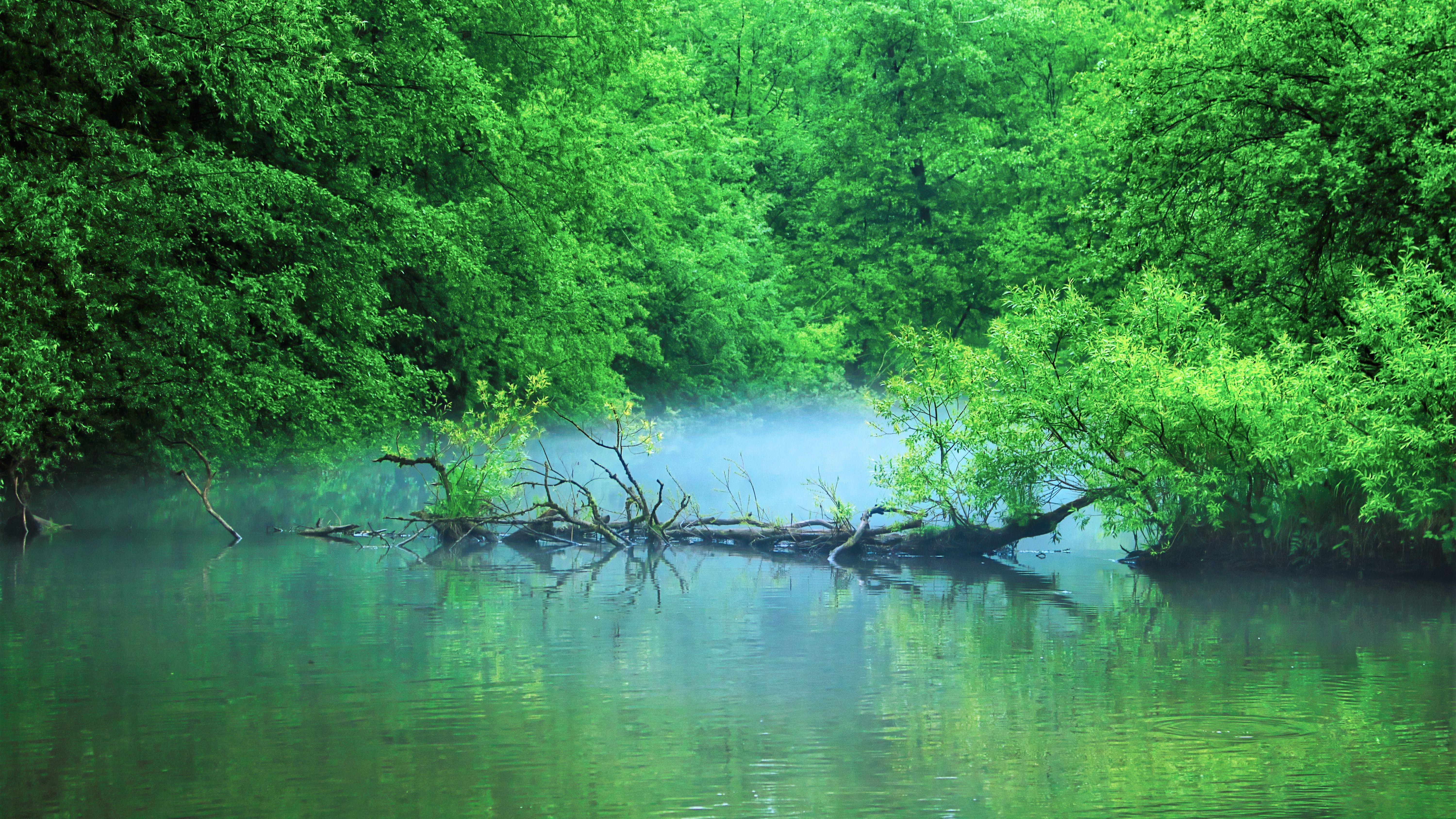 6000x3375 Pond in Forest 5K. Wallpaper nature, HD nature wallpaper, Beautiful nature wallpaper hd
