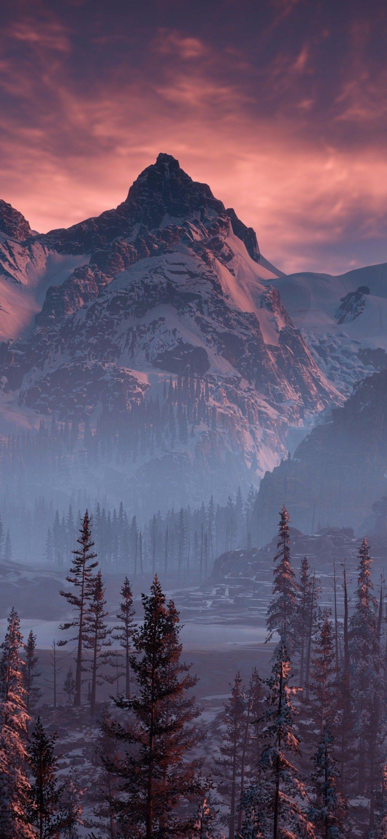 1242x2688 Nature iPhone 4k Wallpaper