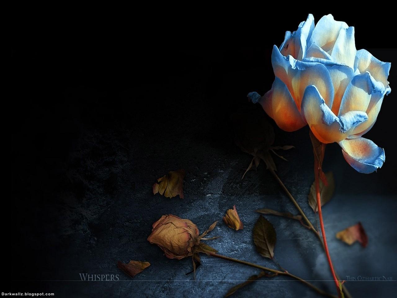 1280x960 Free download Digital Art Dark Wallpaper 36 Dark Wallpaper High [1280x960] for your Desktop, Mobile & Tablet. Explore Dark Art Wallpaper. Free Dark Wallpaper, Gothic Art Wallpaper, Free Gothic Wallpaper