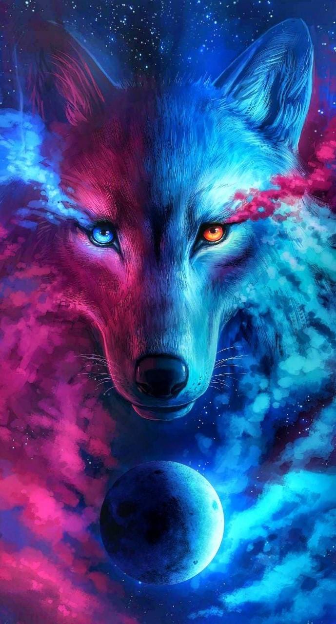 Amazing Wolf Wallpapers - Top Free Amazing Wolf Backgrounds ...