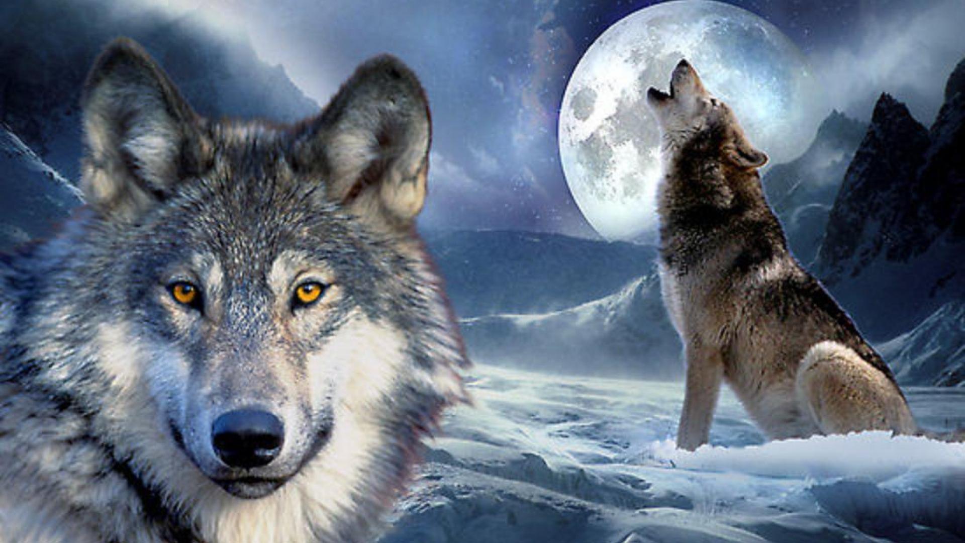 1920x1080 Wolf Fantasy Wallpaper
