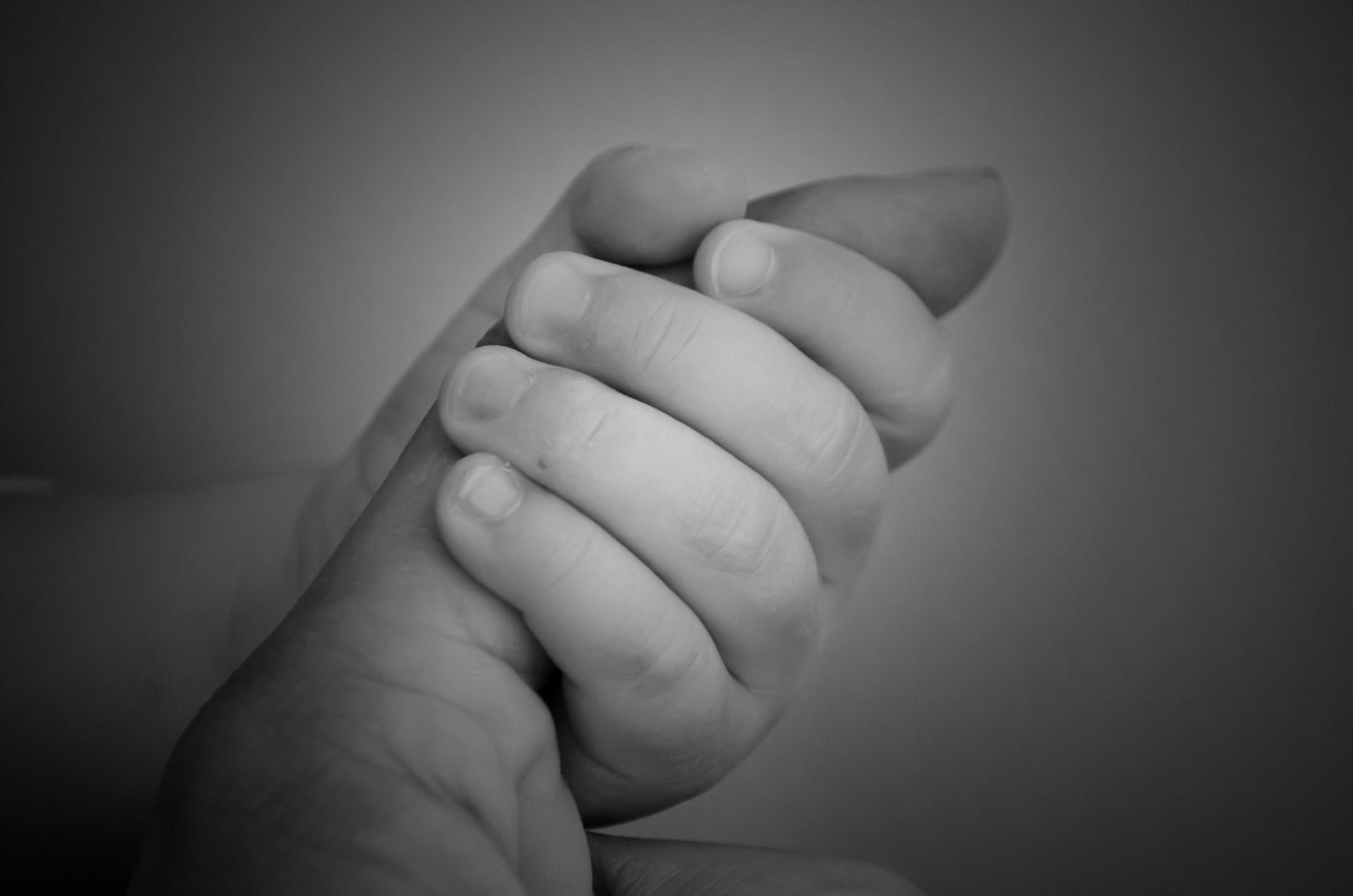 1920x1272 Mother's Love Free Domain Picture
