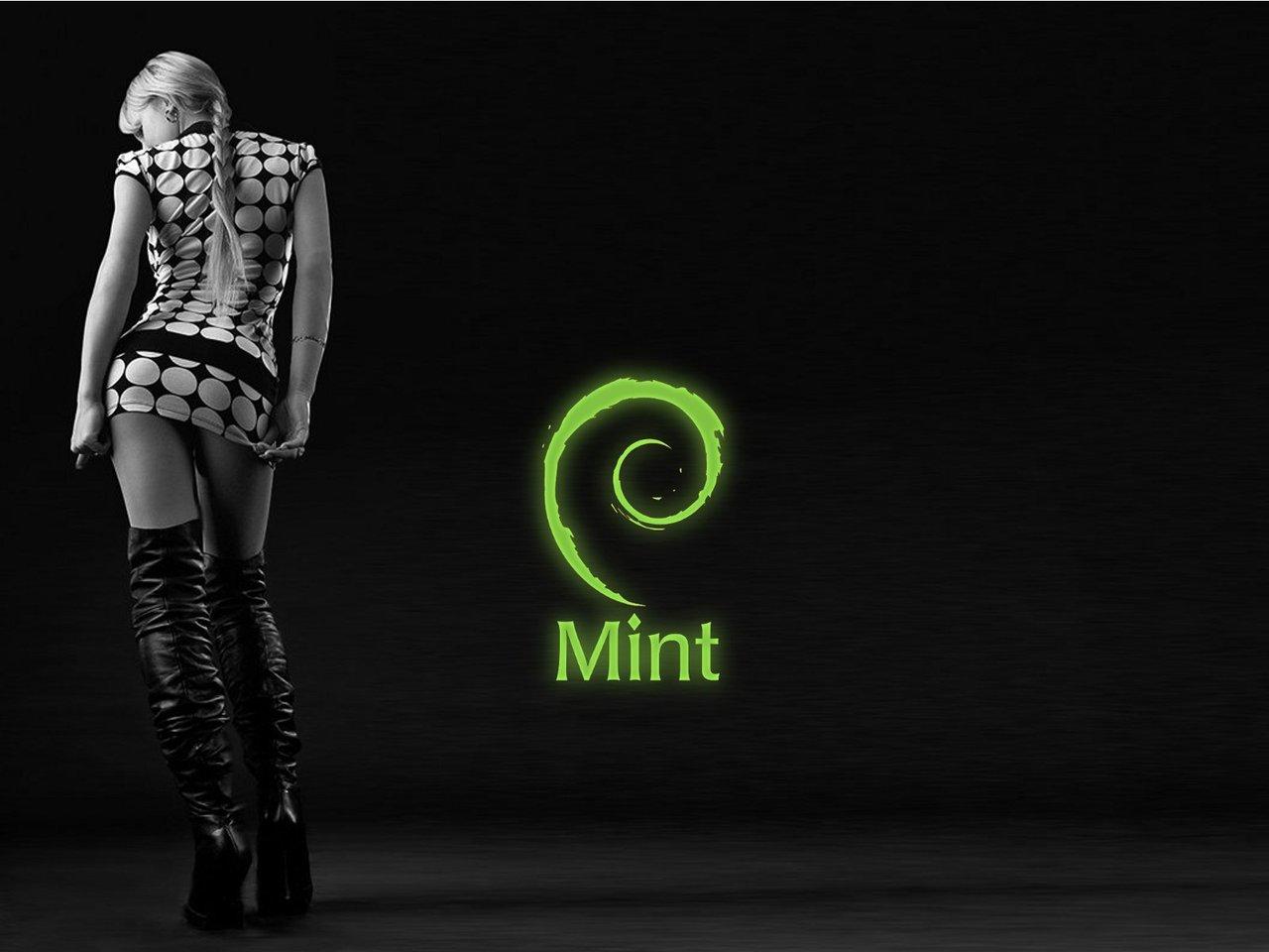 1280x960 Free download Linux Mint lucyfe My wallpaper Mint Debian [1280x960] for your Desktop, Mobile & Tablet. Explore Linux Girls Wallpaper. Best Linux Wallpaper, Linux Desktop Wallpaper, HD Linux Wallpaper Download