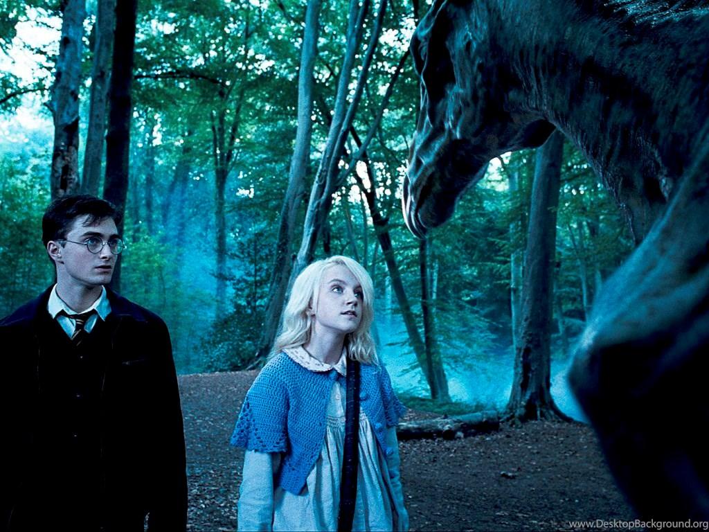 1024x768 Luna Lovegood Wallpaper Luna Lovegood Wallpaper Fanpop Desktop Background