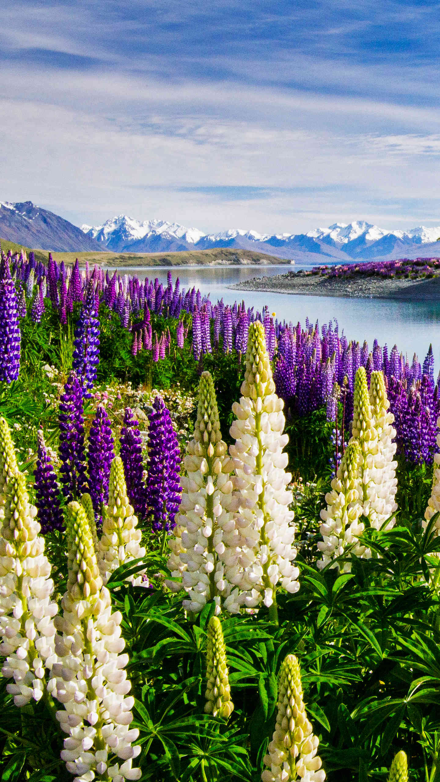 Magazine Unlock Wallpapers Top Free Magazine Unlock Backgrounds