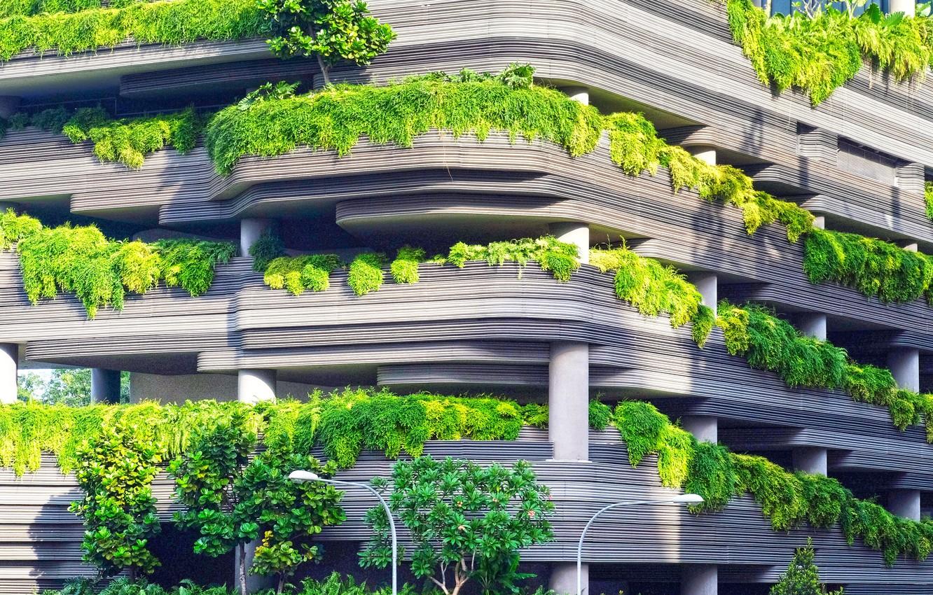 1332x850 Wallpaper design, nature, leaves, architecture, construction, green house image for desktop, section город