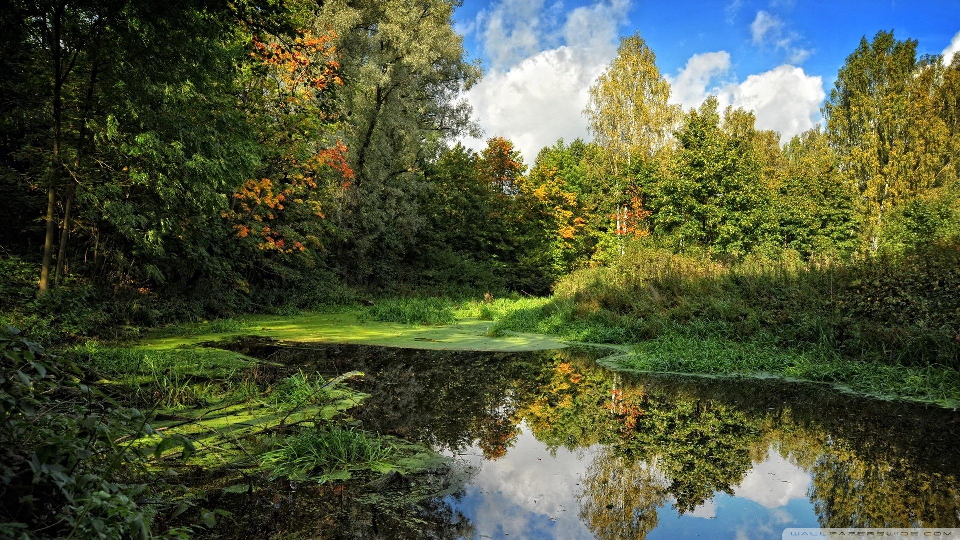 1920x1080 Forest Lake Nature Scene Wallpaper Free Download 16 Vs 2