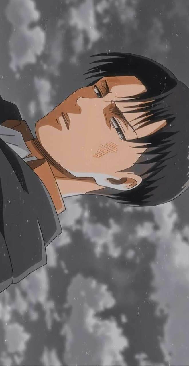 Levi Aesthetic Wallpapers Top Free Levi Aesthetic Backgrounds Wallpaperaccess