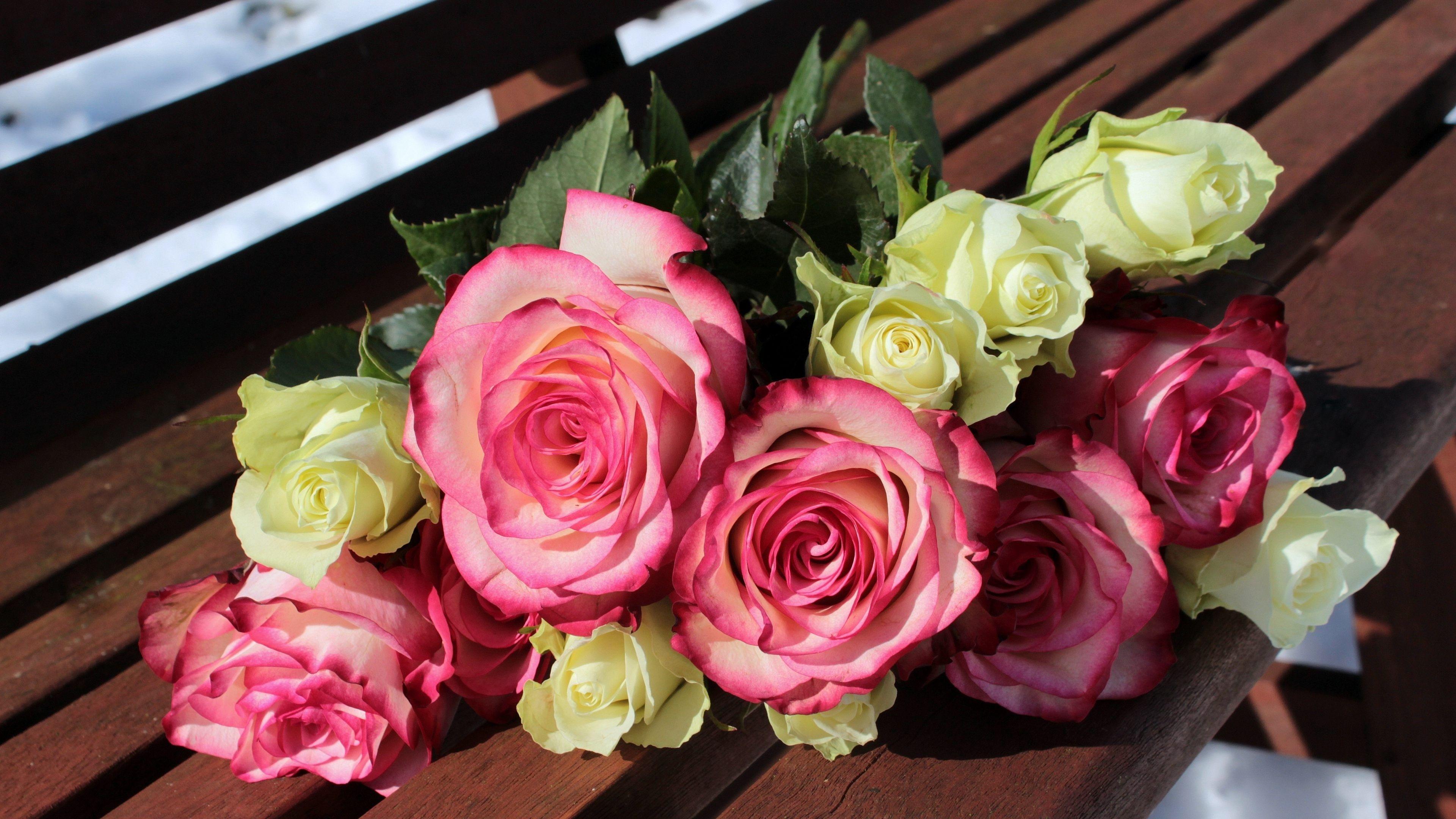 3840x2160 pink and white roses 4k ultra HD wallpaper High quality walls