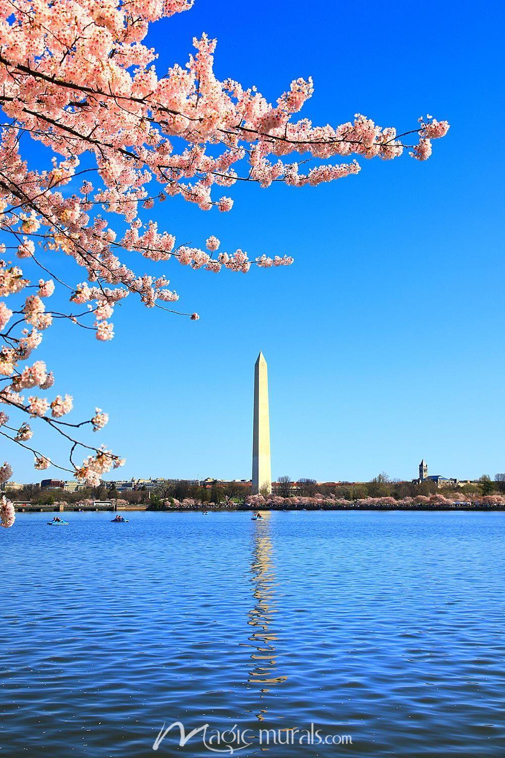 1000x1501 Washington Monument Wallpaper Wall Mural