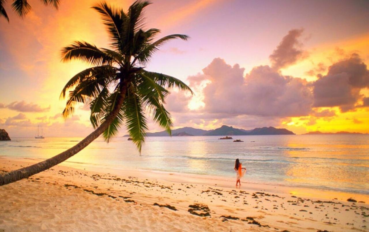 1280x804 Palm Beach Wallpaper