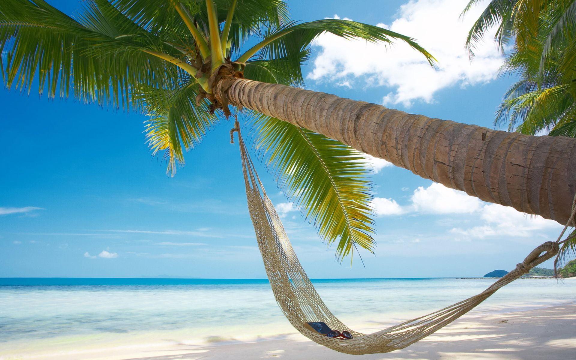 1920x1200 Beach Palm Trees Hammock