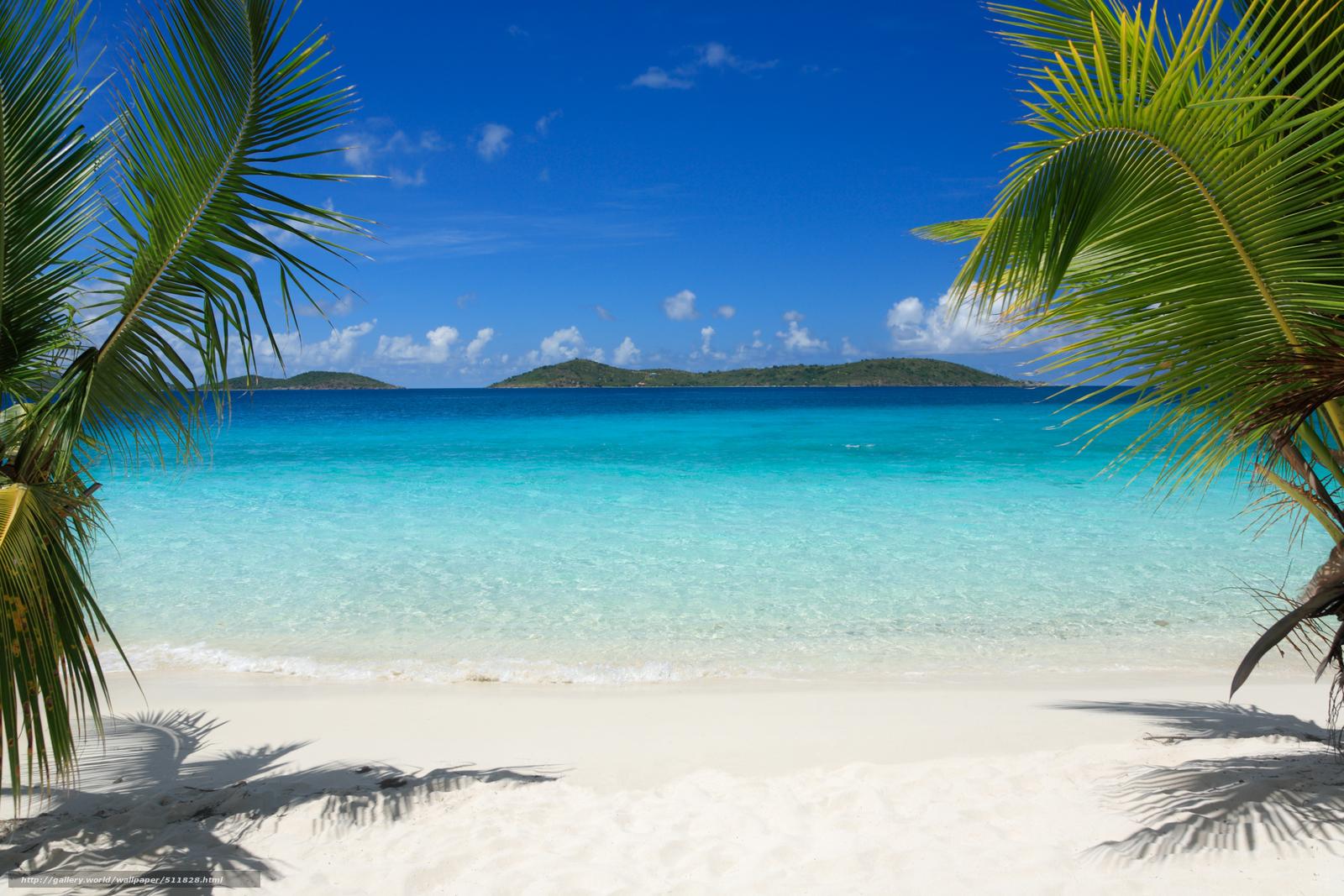 1600x1067 Download wallpaper tropics, beach, Palms free desktop wallpaper in the resolution 4368x2912