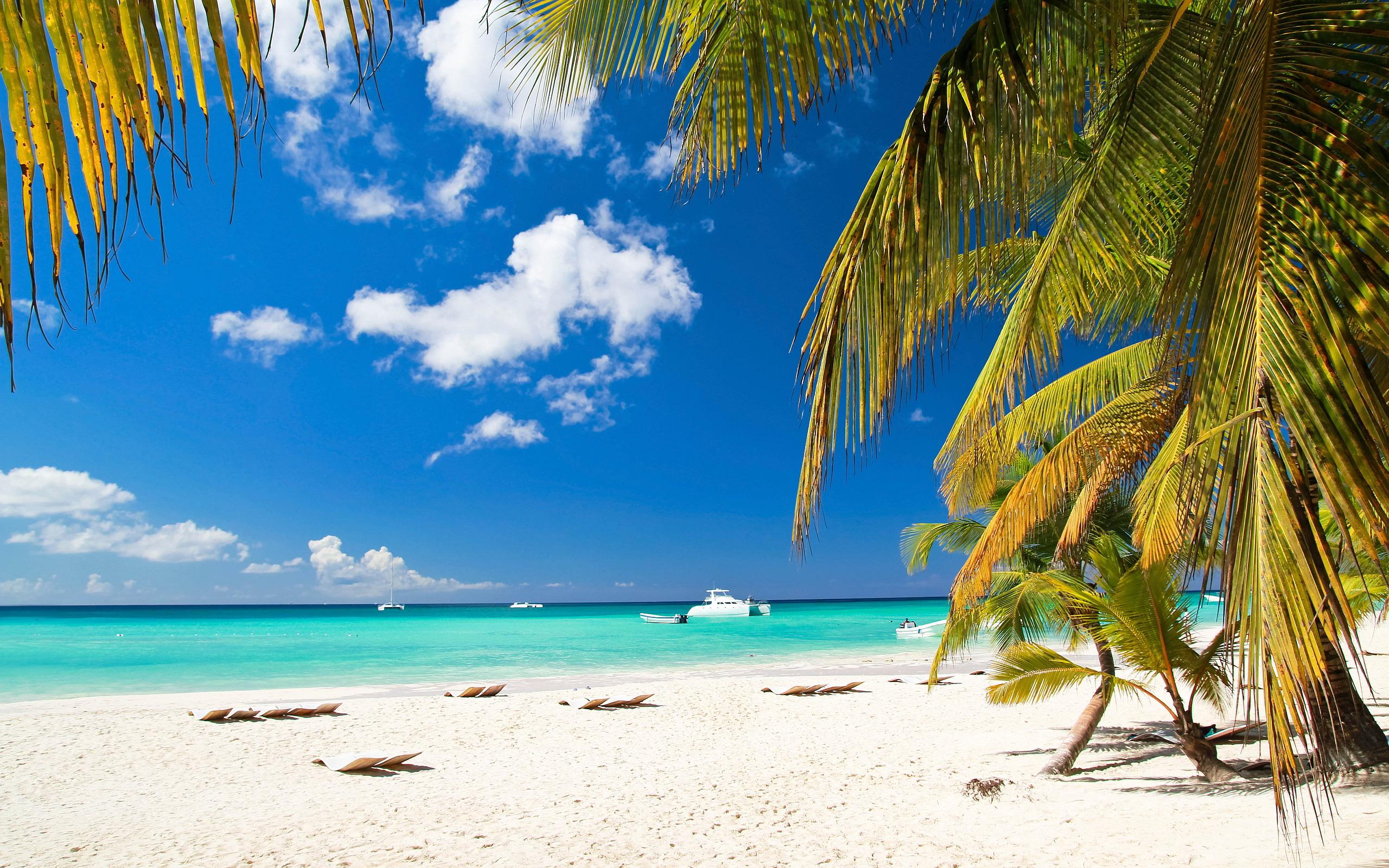 2560x1600 Beach Palms Ships