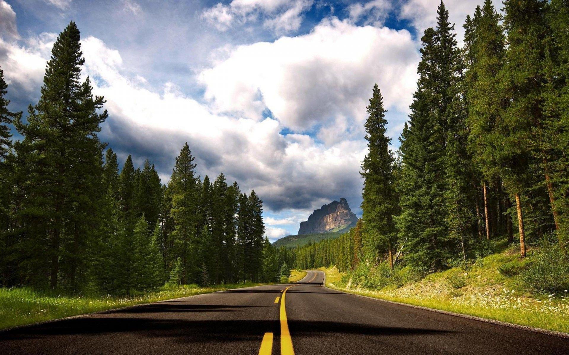 1920x1200 Clouds travel road forest cloud wallpaperx1200
