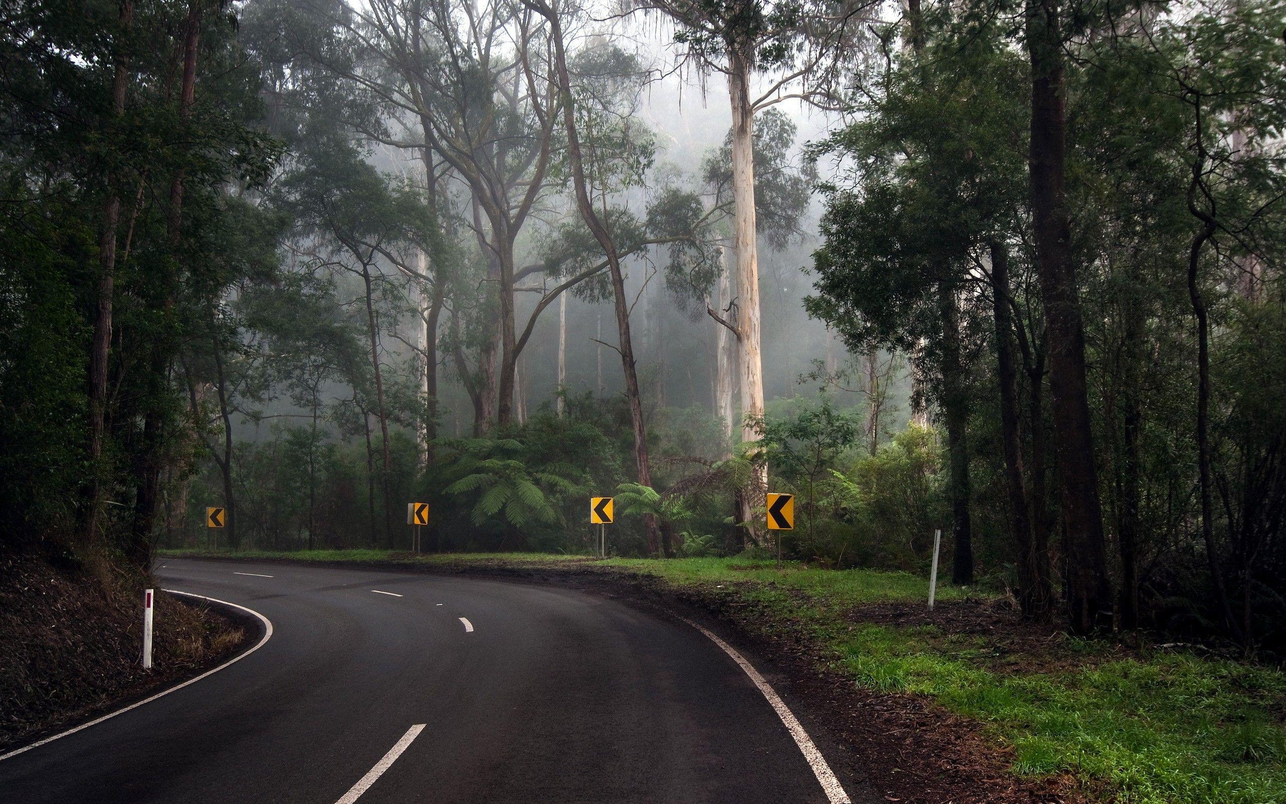 2560x1600 Daily Wallpaper: Driving Heaven. I Like To Waste My Time