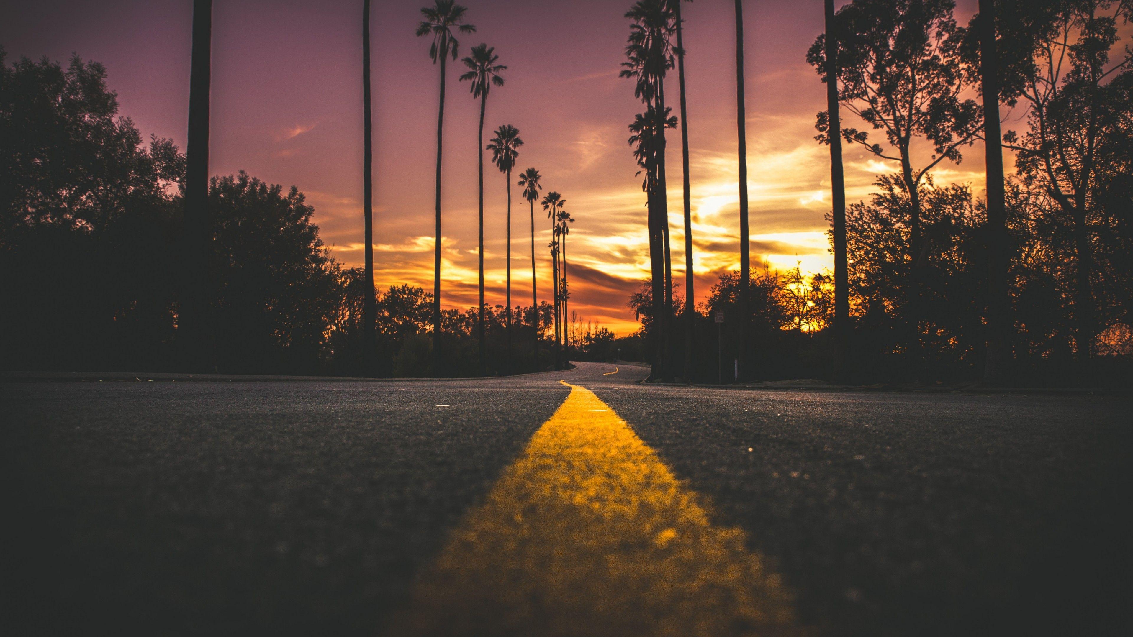 3840x2160 Download 3840x2160 Sunset, Dawn, Road, Scenic, Trees, Travel