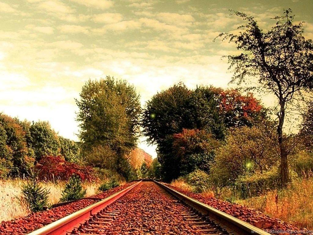 1024x768 Travel Tree Road Nature Sky iPhone 6 Wallpaper HD And 1080P 6