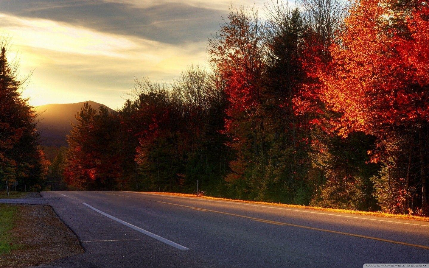 1440x900 Fresh Road In New Hampshire Wallpaper