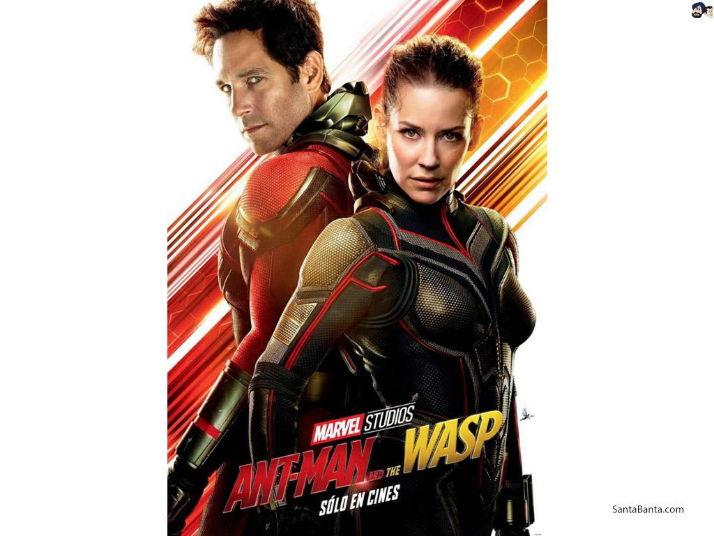 1024x768 Ant Man And The Wasp Starring Evangeline Lilly And Paul Rudd