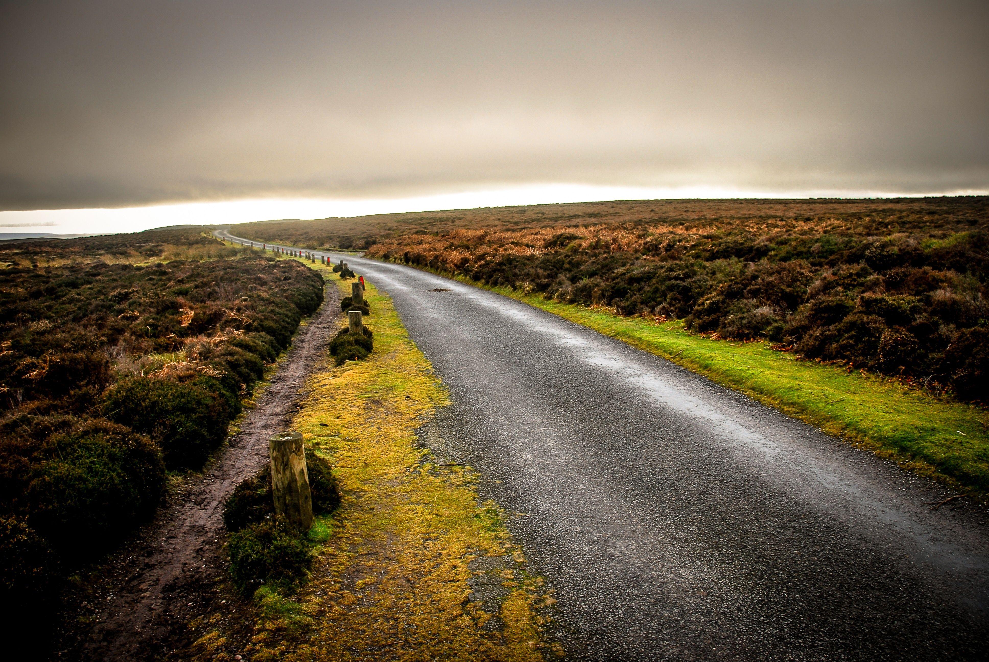 3872x2592 gray concrete road between trees free image