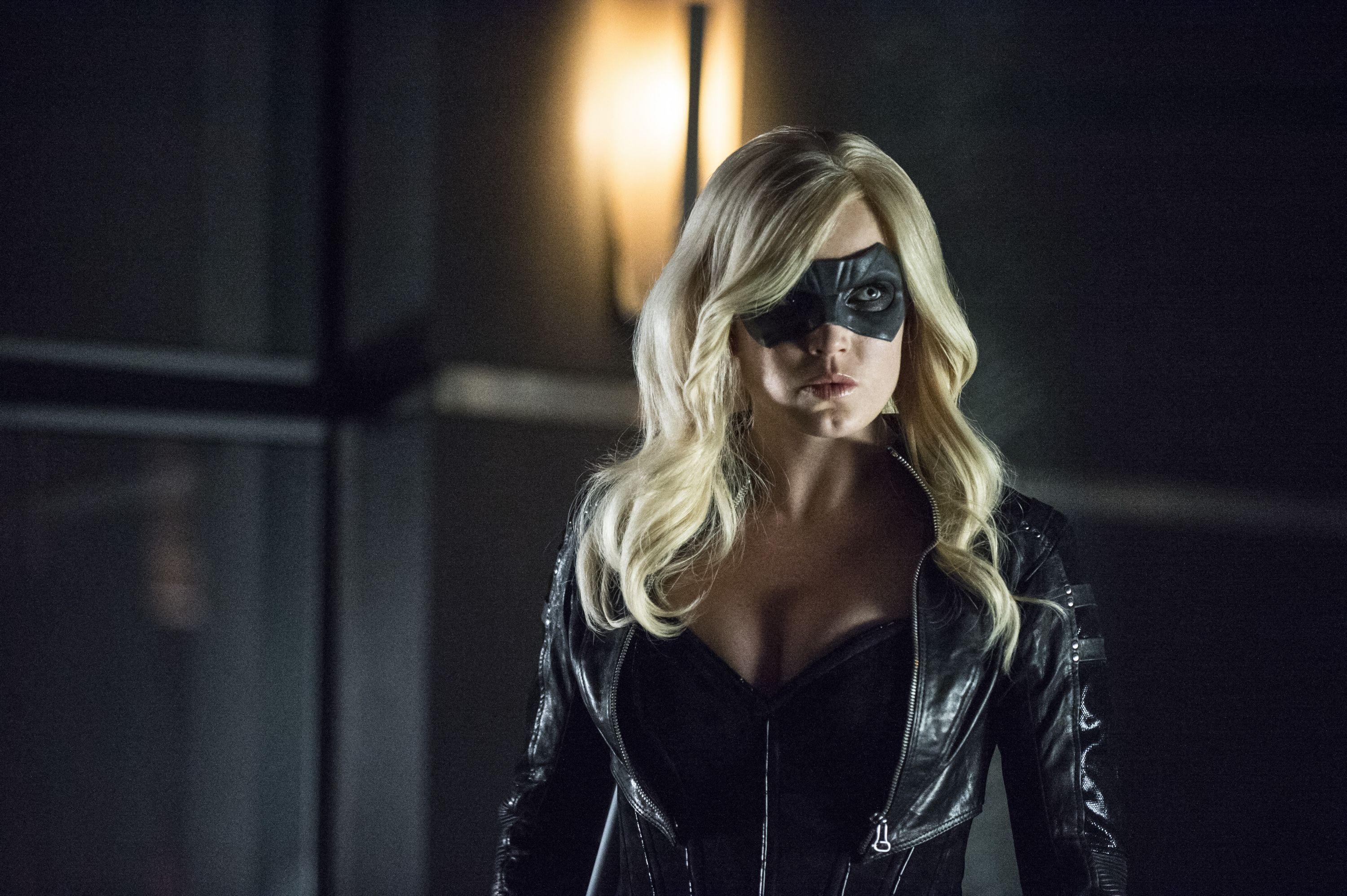 3000x1997 Arrow Black Canary Sara Lance Caity Lotz TV Series Wallpaper:3000x1997