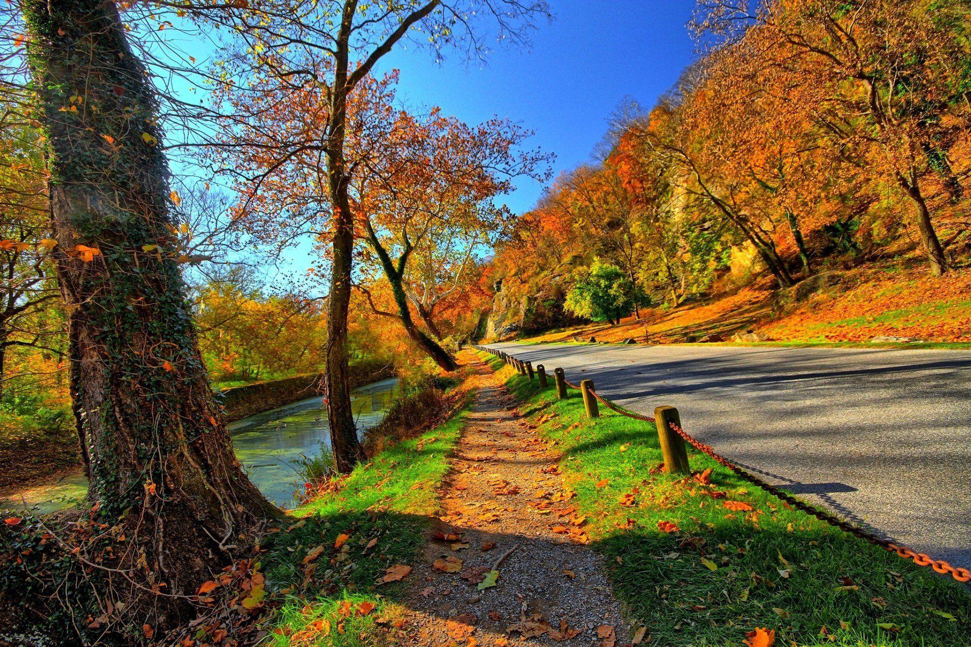 1920x1280 nature mountains sky water forest park trees leaves colorful road